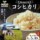 【ふるさと納税】《選べる容量》令和6年産 コシヒカリ 玄米 《4kg 5kg 10kg》 2024年11月から発送 こしひかり 米 コメ こめ 福島県 和田農園 F6Q-188var