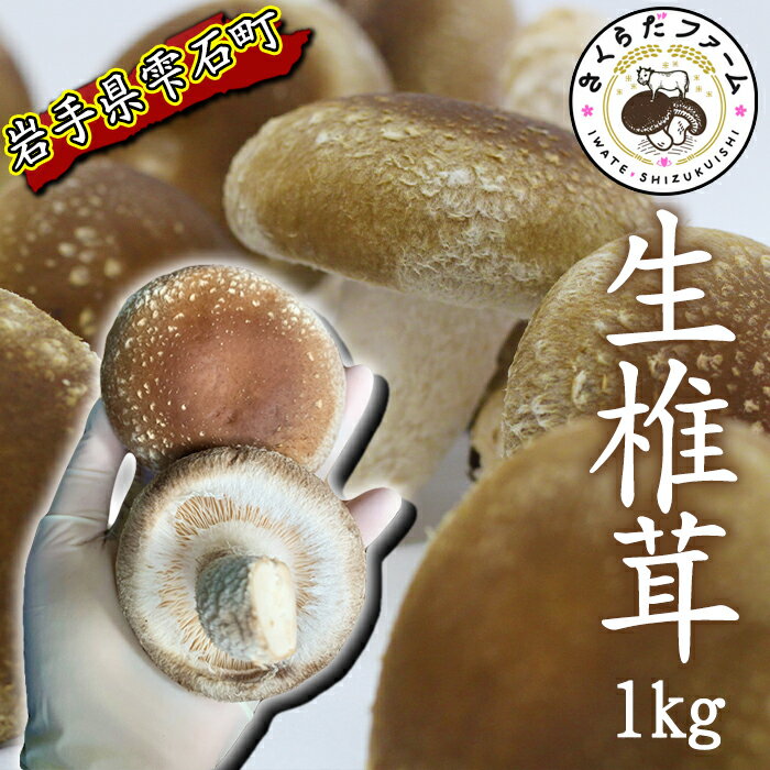 【ふるさと納税】 しいたけ おすすめ 岩手県産 肉厚 生しいたけ 1kg ／ シイタケ 椎茸 1キロ 1kg 1キロ きのこ キノコ 茸 野菜 やさい 国産 出汁 だし 旨味 鍋 なべ 煮物 煮込み 七輪 焼き物 串焼き 素焼き BBQ BBQ 人気 岩手県 雫石町 送料無料 さくらだファーム