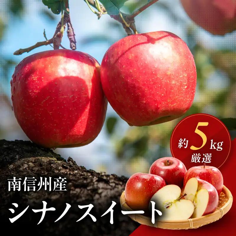 南信州産 りんご シナノスイート 約5kg【2026年9月下旬～発送】