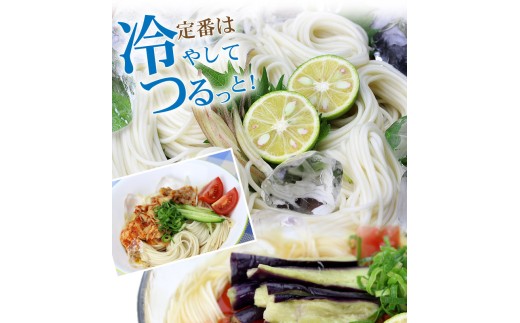 半田そうめん『阿波おどり』(100g×20束／計2.0kg)【tr20-01】【たきはら手延製麺】