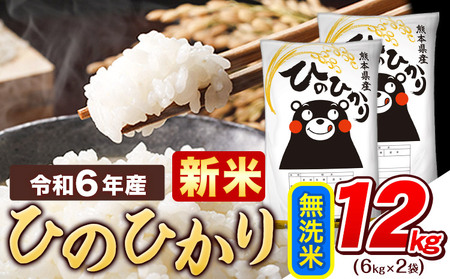 令和6年産 新 無洗米 ひのひかり 12kg 《7-14営業日以内に出荷予定(土日祝除く)》令和6年産 熊本県産 ふるさと納税 精米 ひの 米 こめ ふるさとのうぜい ヒノヒカリ コメ お米 おこめ