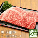 【ふるさと納税】【毎月先着100名様にレビューでご当地ラーメンをプレゼント】＜選べる容量＞くまもと黒毛和牛 サーロイン ステーキ 500g/1kg/1.5kg/2kg 1枚 250g 2～8枚 ソース付 霜降り お肉 牛肉 黒毛和牛 和牛 国産 冷凍 九州 熊本県 高森町 送料無料