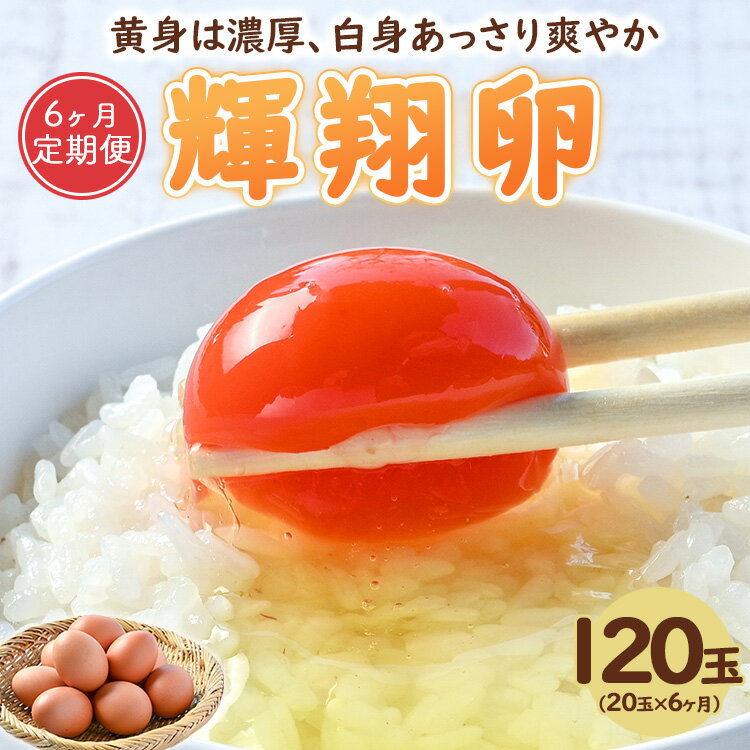 【ふるさと納税】【6ヶ月定期便】黄身は濃厚、白身あっさり爽やか こだわり卵【輝翔卵】20玉×6ヶ月 合計120玉 ｜ 玉子 たまご 新鮮 料理 宇都宮市※離島への配送不可