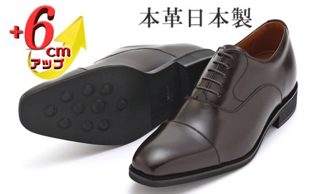 ビジネスシューズ 本革 6cmアップ ダークブラウン ビジネスシューズ【No.1301】 24.5cm