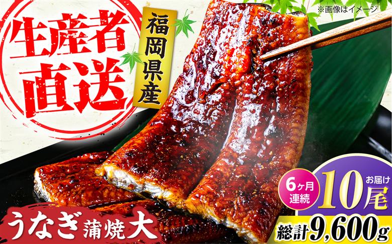 【全6回定期便】福岡県産 うなぎ 蒲焼 大 10尾　計1,600g（1尾あたり 160g以上）《豊前市》【福岡養鰻】 国産 鰻 ウナギ 蒲焼き [VAD028]