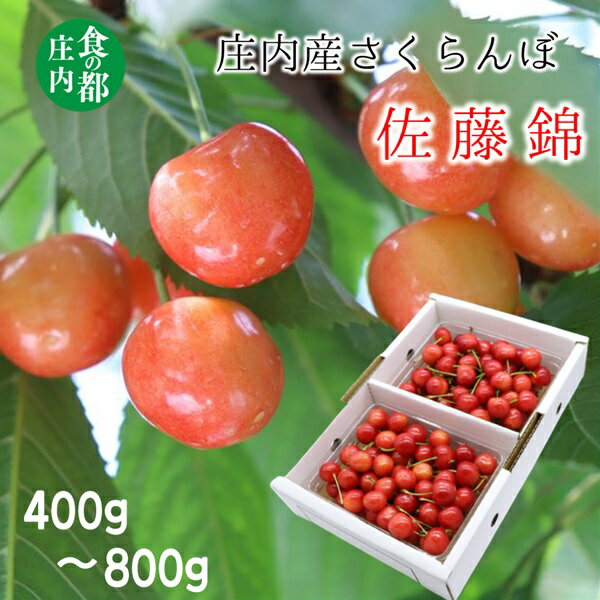 【ふるさと納税】【令和8年産】食の都庄内　庄内のさくらんぼ「佐藤錦」Lサイズ　バラ詰め　400g　500g　600g　800g　※令和8年6月中旬～下旬頃発送予定（有限会社庄内旬青果）