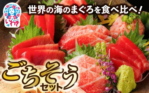 世界の海のまぐろを食べ比べ　ごちそうセット | いわき市 ふるさと納税 まぐろ 食べ比べ セット 世界のまぐろ 本まぐろ みなみまぐろ メバチまぐろ キハダまぐろ びんちょうまぐろ 刺身 冷凍 鮪 マグロ 赤身 中トロ 大トロ 真空パック お造り 粗挽 ネギトロ ねぎとろ | DK013