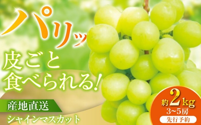 
                  [伊万里産]山和農園のシャインマスカット約2kg（3～5房）
                