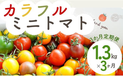 
【3か月定期便】げんき農場のカラフルミニトマト 1.3kg×3回
