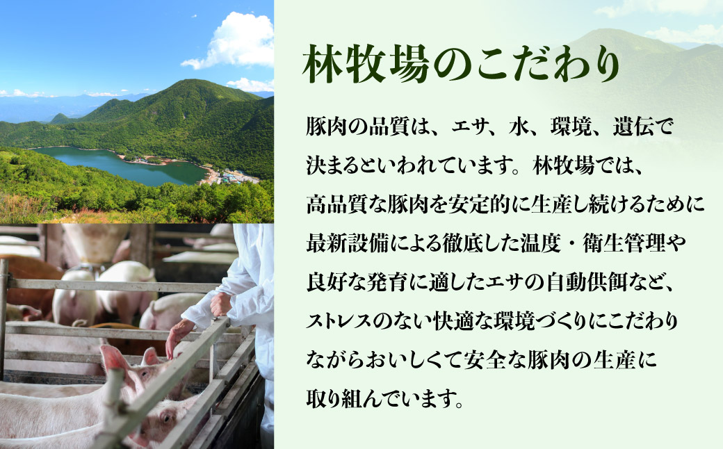 極上霜降り 肩ロースセット (肩ロース切り身×4枚･肩ローススライス×500g) | 豚肉 肩ロース 霜降り豚 国産豚肉 豚肩ロース 豚肉セット 切り身 スライス 焼肉 ステーキ しゃぶしゃぶ 生姜焼