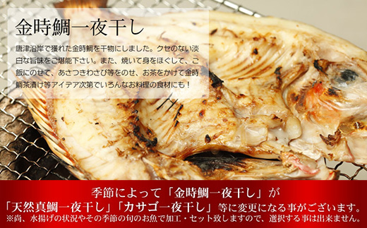 無添加・無着色・手造り 唐津産 『初めての唐津旬の干物5種10尾セット』唐津産真アジ醤油みりん干し、唐津産真サバひもの、唐津産季節の旬の白身魚一夜干し、真イワシ丸干し、トロあじ開き 干物 酒の肴 海鮮
