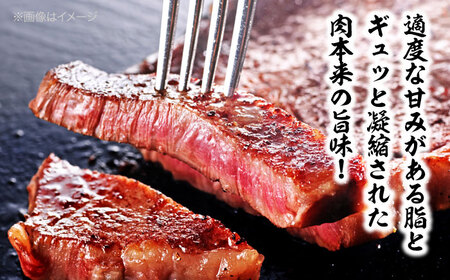 ステーキ 定期便【全6回】（2人前）ステーキ 牛肉 ロース[AGCC041]