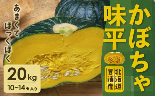 【2025年9月以降発送】北海道 豊浦産 かぼちゃ 味平 約20kg 10～14玉入り 【ふるさと納税 人気 おすすめ ランキング 野菜 その他野菜 かぼちゃ 南瓜 カボチャ 国産 味平 おいしい 美味しい 北海道 豊浦町 送料無料】 TYUH005