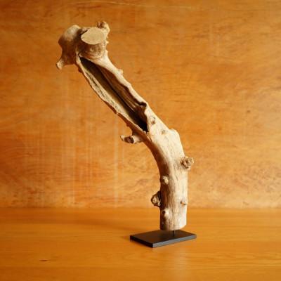 ふるさと納税 屋久島町 【屋久島の流木】中サイズ　タイプ2 |  | 03