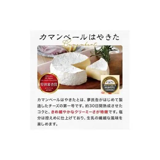 はやきたチーズ色々詰合せセット＜ナチュラルチーズコンテスト受賞! 夢民舎ブランド ＞（カマンベール・クリーム・モッツァレラ・カチョカバロ・さける）【1001151】