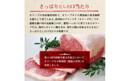 香川県産黒毛和牛 オリーブ牛 ハンバーグ6袋セット(100g×12枚入)_M04-0051