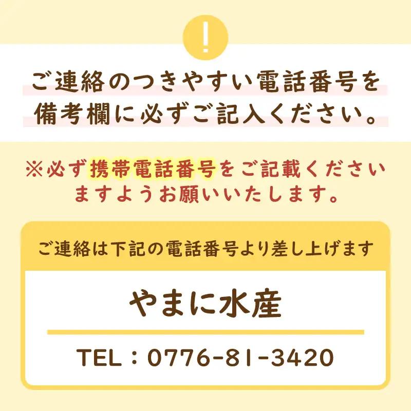【12月発送】【先行予約】【訳あり】越前がに（中）1杯 指折れ 越前ズワイガニ [E-4353_12]