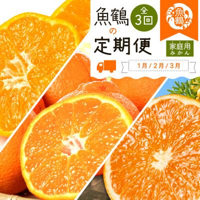 ふるさと納税 湯浅町 【発送月固定定期便】紀州和歌山産旬のご家庭用柑橘セット(みかん・不知火・清見)全3回