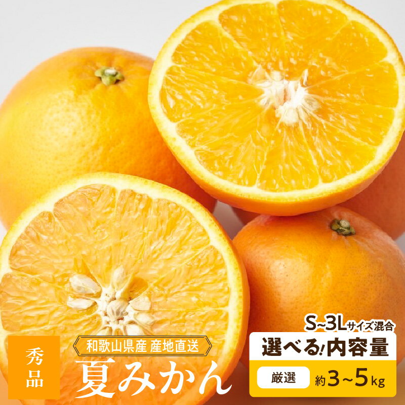 【ふるさと納税】【限定】 【2026年先行予約】 和歌山県産 夏みかん 秀品 選べる 内容量 3kg 5kg S ～ 3L サイズ混合 みかん 甘酸っぱい ジューシー みかん好き 愛される フルーツ 果物 デザート お取り寄せ 和歌山県 湯浅町 送料無料