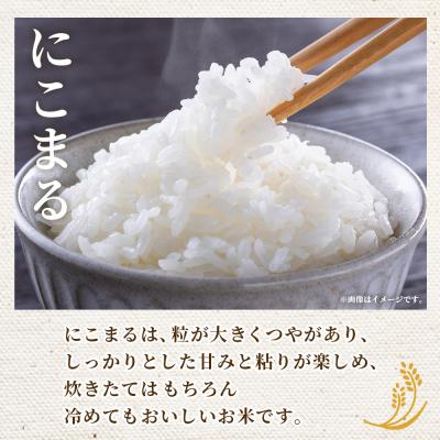 ふるさと納税 西予市 <令和7年産 西予市産 にこまる 精米 約5kg宇都宮米穀 ニコマル お米 米 |  | 01