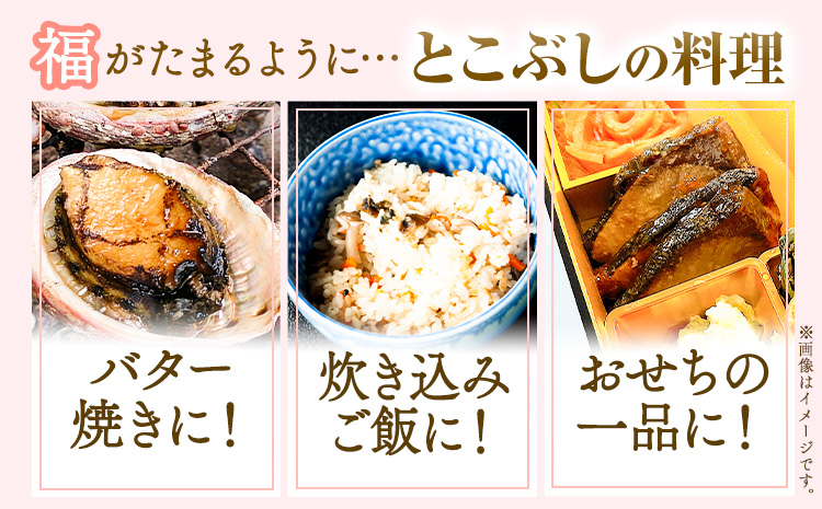 とこぶし 活け 約600g 比井崎漁業協同組合《6月上旬-9月上旬頃出荷》和歌山県 日高町 とこぶし 生もの 海鮮 貝 和歌山県産 冷蔵 ながれこ 流れ子 ナガレコ
