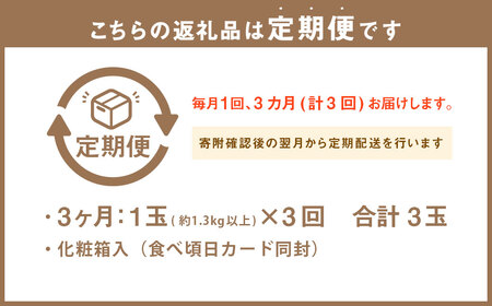 【3ヶ月定期便】静岡県産高級 アローマメロン 白等級 中玉1玉 約1.3kg以上×中玉1玉×3回 計約3.9kg以上 化粧箱入 果物 フルーツ メロン めろん 青肉 高級ブランドメロン ブランドメロン