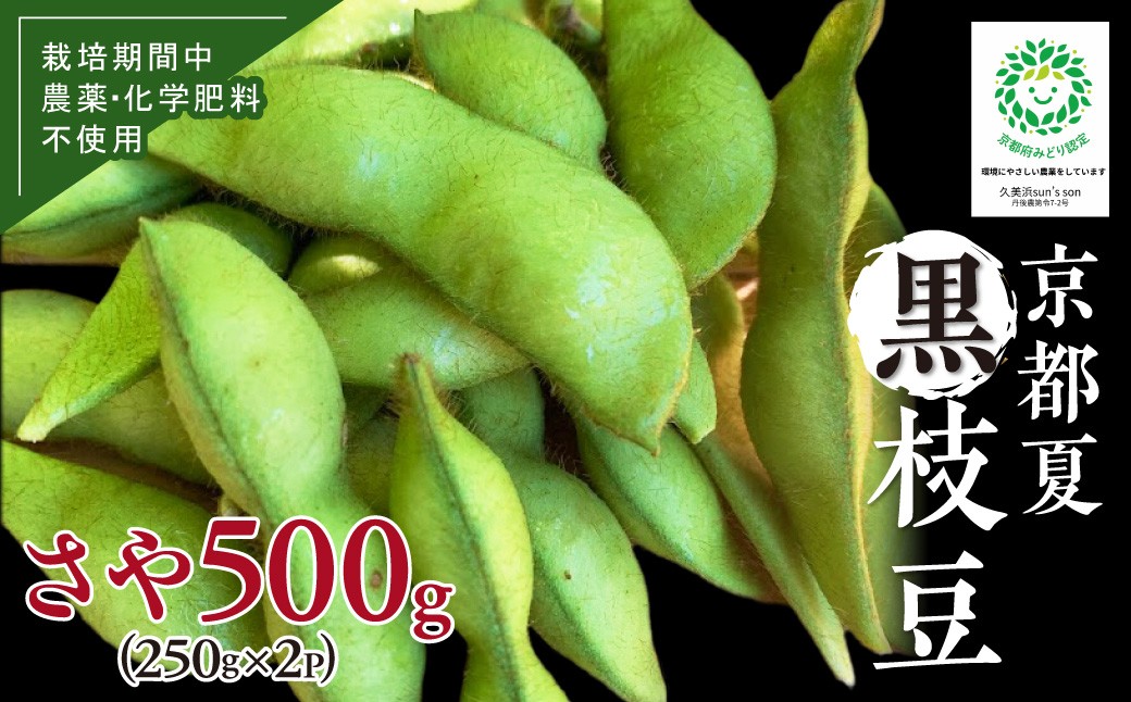 
                  【先行予約／数量限定40】京都夏黒枝豆さや 500g（250g×2パック）（2026年7月中旬～発送） 野菜 豆類 黒豆 黒枝豆 晩酌 おつまみ おかず 京都 ふるさと納税 枝豆　KU00076
                