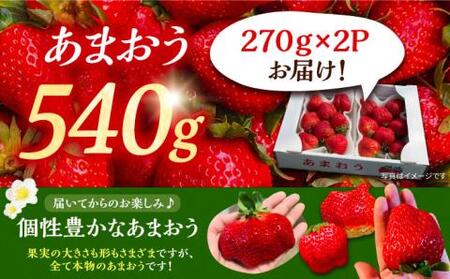 【先行予約】【2月-4月発送】農家直送 あまおう 540g （270g以上 × 2 パック） 土耕栽培《豊前市》【内藤農園】 [VAB014] 果物 いちご フルーツ