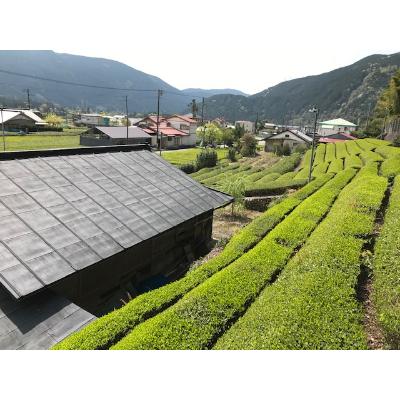 ふるさと納税 川根本町 川根本町産 川根銘茶 通も納得セット　99-1 |  | 03