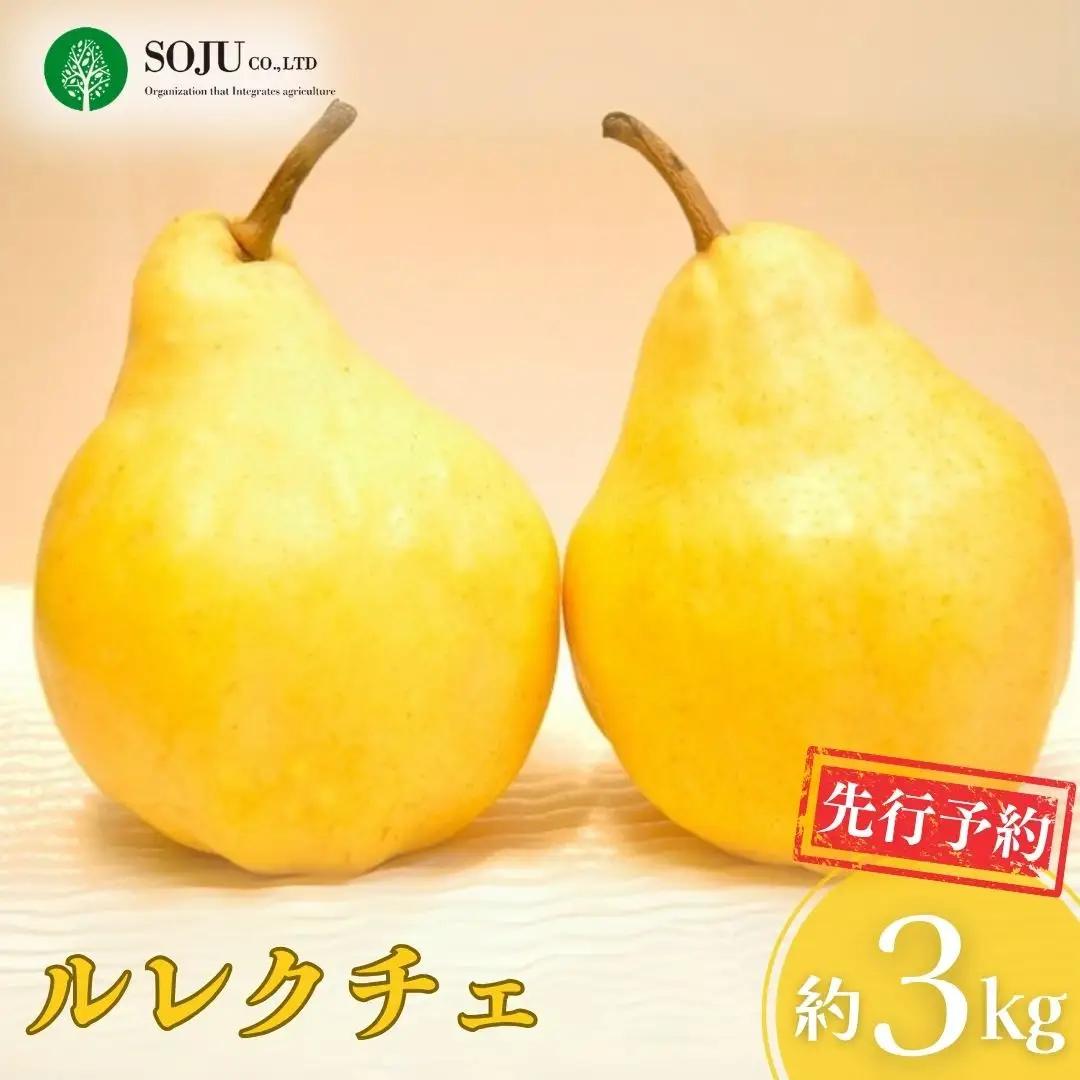 先行予約 ル レクチェ 約3kg 洋梨 JGAP認証農場 新潟県 三条市産 期間限定 冬限定 幻の西洋梨 
