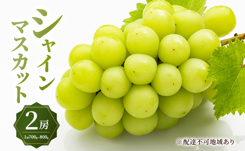 ぶどう 2026年 先行予約 シャイン マスカット 2房 （1房700g～800g） 大粒 種無し ブドウ 葡萄 岡山県 赤磐市産 国産 フルーツ 果物 ギフト MAKANAファーマーズ 種なし 皮ごと デザート 