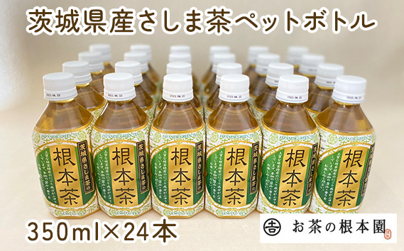 
No.172 根本茶ペットボトル ／ お茶 さしま茶 ペットボトル飲料 茨城県
