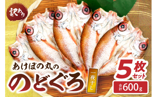 【訳あり数量限定】あけぼの丸ののどぐろ一夜干し5枚セット合計600ｇ 【146_2017】