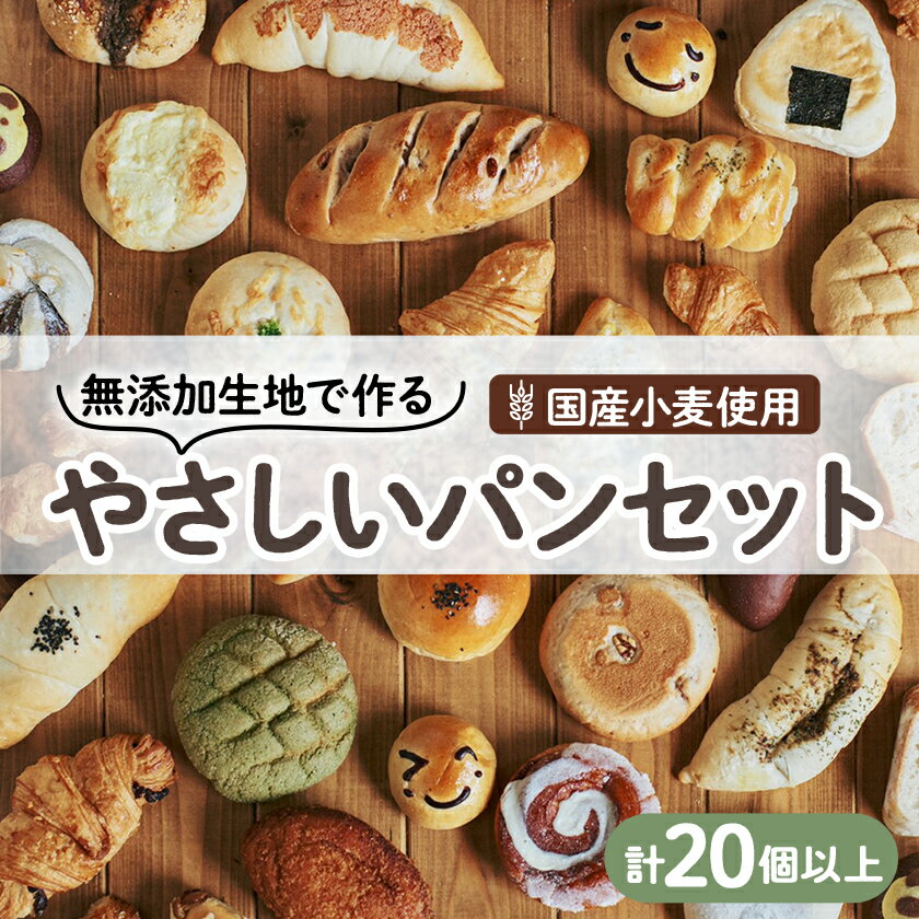 【ふるさと納税】【国産小麦】無添加生地で作るバラエティーやさしいパンセット(20個以上)_ パン 無添加 ベーカリー 人気 おすすめ 送料無料 セット 冷凍 贈答 ギフト プレゼント 栃木 小山市 カレーパン 国産小麦 【配送不可地域：離島】【1261283】