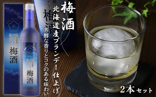 
【梅酒】 北海道産ブランデー仕上げ 12％ 2本セット
