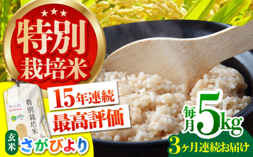 【全3回定期便】特別栽培米「さがびより」玄米 5kg 【だいちの家】特A米 特A評価 [HAG028]