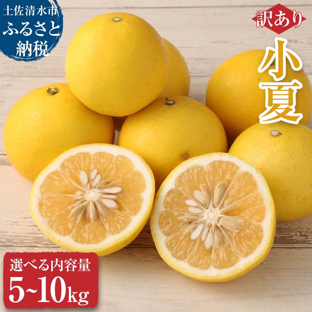 【ふるさと納税】R8発送 先行予約【訳あり】オレンジ園の小夏5kg 10kg 日向夏 みかん 柑橘 フルーツ 果物 こなつ ニューサマーオレンジ 旬 5キロ 10キロ 食感 スッキリ ご自宅用 お取り寄せ 常温 国産 訳あり 送料無料 高知県 土佐清水市 故郷納税 返礼品 【R01447】
