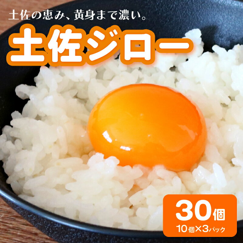 【ふるさと納税】 土佐ジローの卵 30個入り | たまごのおくだ 新鮮 平飼い 卵 たまご 鶏卵 卵黄 たまごかけ ご飯 玉子 タマゴ 玉子焼き たまご焼き すき焼き 鶏 ケーキ 産地直送 国産 高知県 南国市