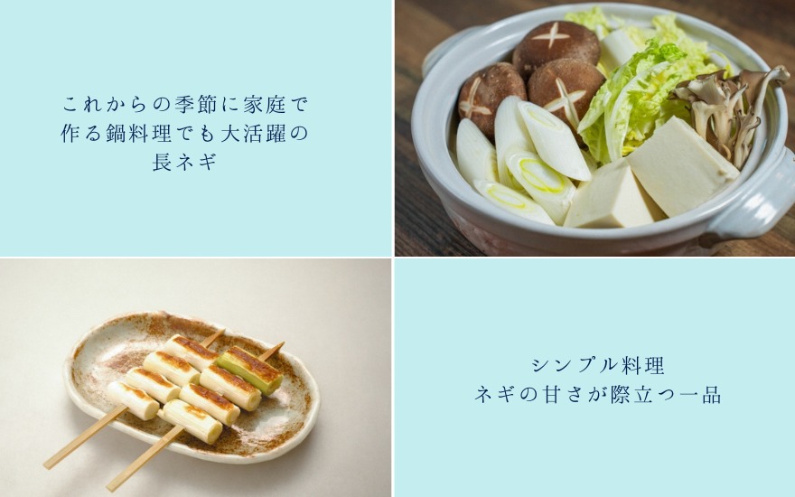 ごせんのネギ Lサイズ 15束 野菜 ネギ 長ネギ 葱 新潟県 五泉市 五泉市園芸組織連絡協議会