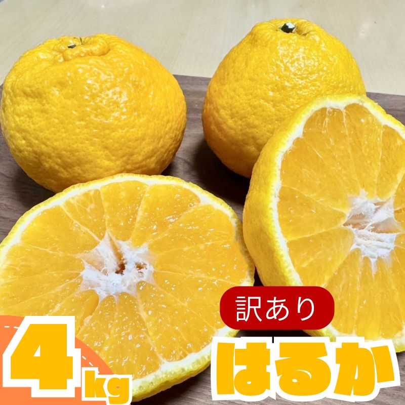 【ふるさと納税】 はるか 4kg 訳あり 先行予約 数量限定 サラダみかん 春待つみかん 家庭用 柑橘 産地直送 みかん 柑橘 日向夏 高知県 室戸市 果物 フルーツ 爽やか 甘み 送料無料