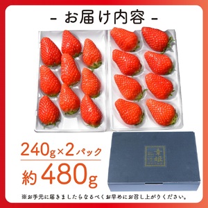 【1月中旬から3月中旬発送】 いちご 章姫 480g ( 大粒 + 中粒 ) いちご 苺 イチゴ 果物 フルーツ 箱入り 完熟 真っ赤 おいしい 甘い 評判 農家直送 産地直送 鮮度 抜群 好評 人気