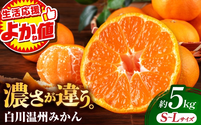 
                  ＼生活応援よか値キャンペーン／【先行予約】 旨み凝縮！ 飛龍台木 白川 温州 みかん S～Lサイズ 約5kg 【小春農園】 ミカン 蜜柑 温州みかん 山鹿 熊本県産 フルーツ 果物 国産 お取り寄せ 産地直送 [ZBN009-CP]
                