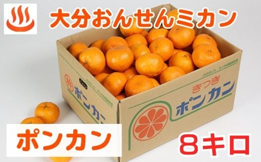 大分おんせんミカン「ポンカン 8kg（バラ詰め）」＜132-026＞
