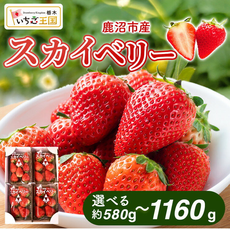 【ふるさと納税】【選べる内容量】【先行予約】出会いの森いちご園 スカイベリー （290g×2パック/4パック） | いちご イチゴ 苺 栃木県 果物 くだもの フルーツ スカイベリー 新鮮 贈答 ギフト ※離島への配送不可 ※2026年12月上旬頃から2027年3月下旬頃に順次発送予定