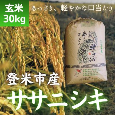 ふるさと納税 登米市 令和7年産　宮城県登米市産ササニシキ(玄米)30kg