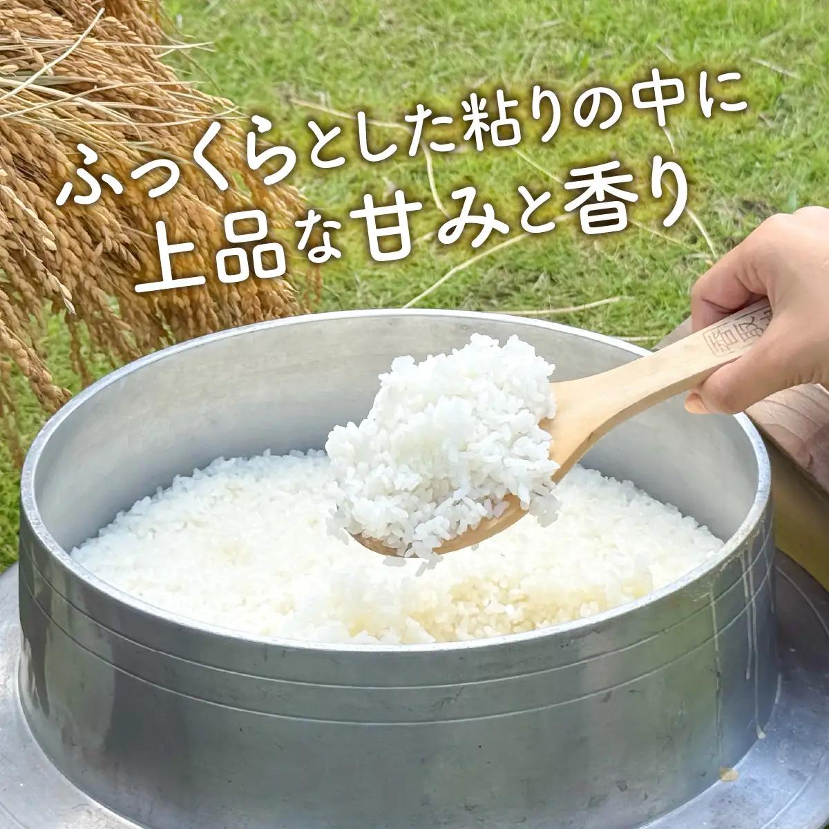 山口さんちの【令和8年産】多古米コシヒカリ(精米)5kg_ 精米 米  【配送不可地域：離島・沖縄県】TAKF043