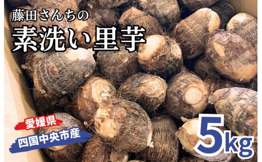 藤田さんちの素洗い里芋 （四国中央市産）5kg