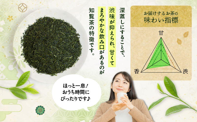 かごしま知覧茶 （100g×1袋）　K346-001_01