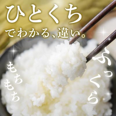 ふるさと納税 神埼市 【令和8年産 新米先行受付】さがびより 精米 10kg【10ヶ月定期便】農園(H061D93) |  | 01