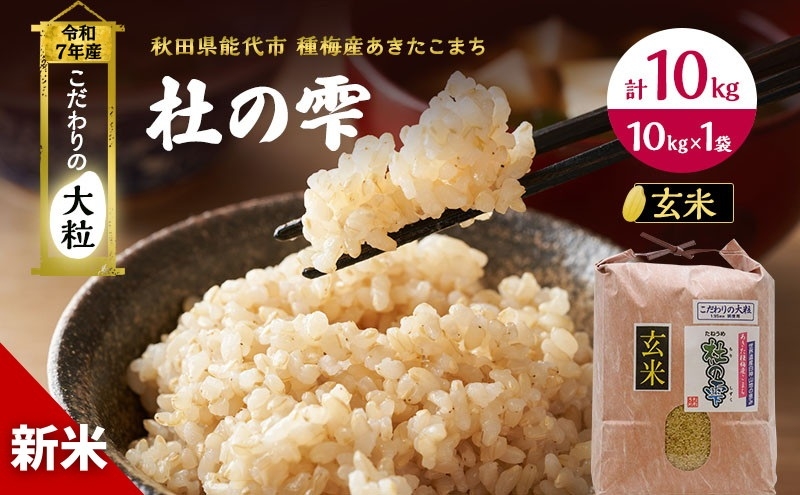 
            令和7年産 新米 玄米 秋田 あきたこまち 杜の雫 10kg 1袋 秋田県産 米 お米 こだわりの大粒 種梅産 ご飯 ブランド米 大粒 おにぎり 産地直送 送料無料 おこめ ごはん 秋田県
          